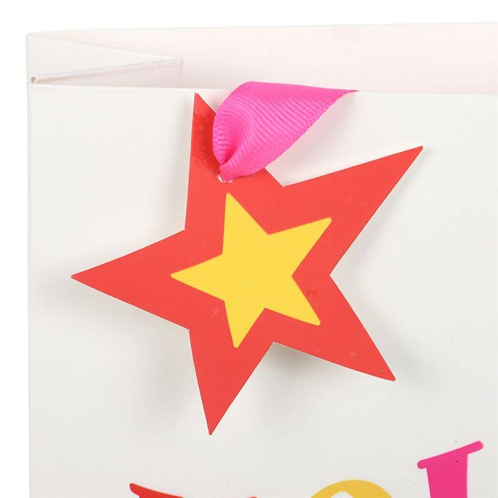 23cm Medium  Holly Jolly Colourful Christmas Gift Bag